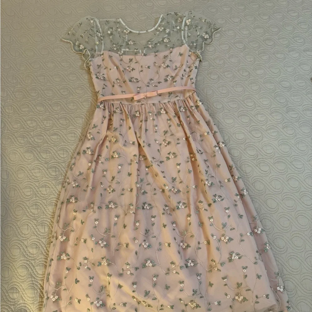 Floral Embroidered Peach Dress - Picture 10 of 11